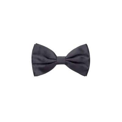 Gray Silk Ties & Bowty