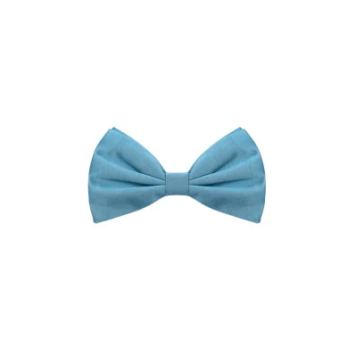 Blue Silk Ties & Bowty
