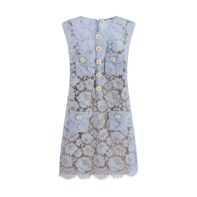 Lace mini Dress
