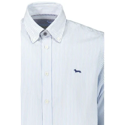 Light Blue Cotton Men Shirt