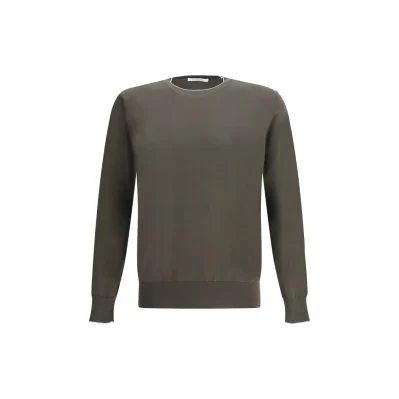 Cotton Sweater
