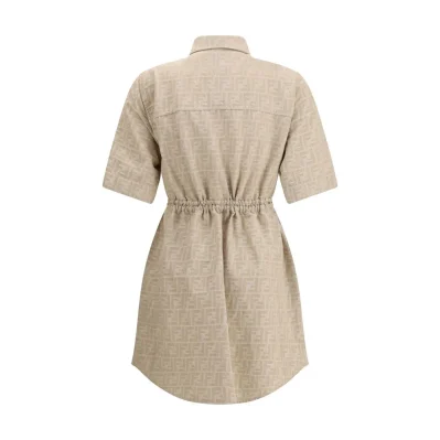 Chambray Dress