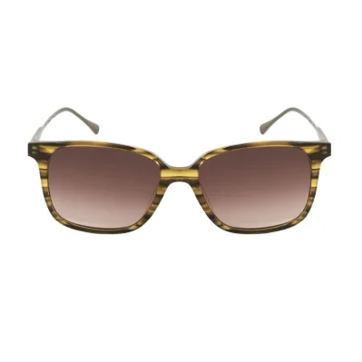 Brown Titanium Sunglasses