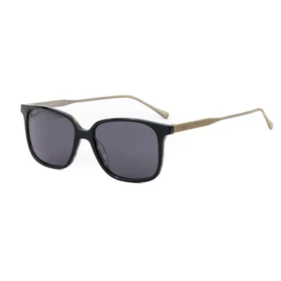 Brown Titanium Sunglasses