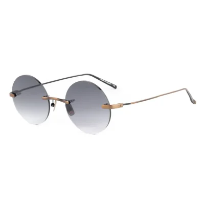 Brown Titanium Sunglasses
