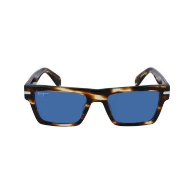Brown Acetate Sunglasses