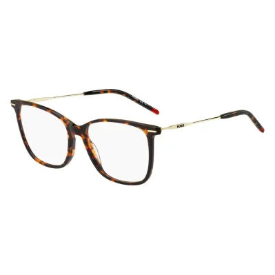 Bicolor Acetate Glasses (Frames)